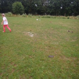 DSC07800 - Scouts en Gidsen Zaventem 